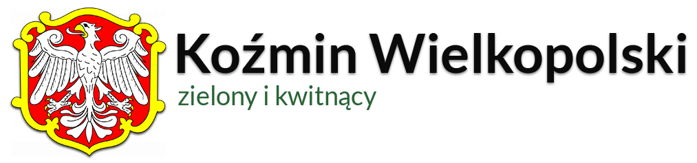 logo kozmin